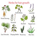 Natural hair care, herbs for growth Royalty Free Stock Photo