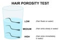 Natural hair porosity float test infographics