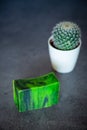 Natural hand made soap bar with a cactus. Dark background. Royalty Free Stock Photo