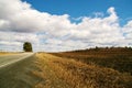 Sunny Road Blue Sky Yellow Grass Rural Countryside Wallpaper Field and Meadows Agriculture Harvest  Farm Landscape Royalty Free Stock Photo