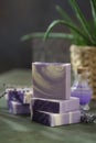 Natural handmade soap with lavender flowers. Aromatic Natural Soap Royalty Free Stock Photo