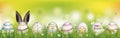 Natural Happy Easter Eggs Rabbit Ears Spring Header