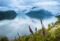 Natural Hardangerfjord fjord landscape of norway Royalty Free Stock Photo