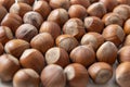 natural hazelnuts on white surface - close macro photo Royalty Free Stock Photo