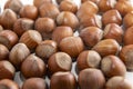 natural hazelnuts on white surface - close macro photo Royalty Free Stock Photo