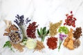 Natural Healing Herbs for Herbal Plant Medicine Royalty Free Stock Photo