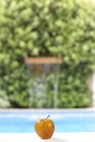 Natural and healthy apple of tropical fruits by the pool on defocused waterfall background
