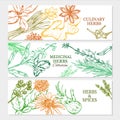 Natural Healthy Plants Horizontal Banners Royalty Free Stock Photo