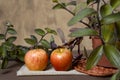 Natural and healthy tropical fruit apple on the table on blurred texture background
