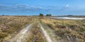 Natural heathland landscape near Hijken