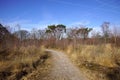 Natural heathland Strabrechtse Heide