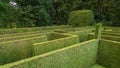 Natural hedge labyrinth maze