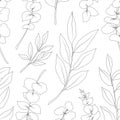 Natural herbal line vector leaves botanical pattern