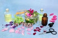 Natural Herbal Medicine for Naturopathic Remedies