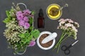 Natural Herbal Medicine Preparation Royalty Free Stock Photo