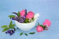 Flowers and Herbs for Herbal Medicine Remedies Royalty Free Stock Photo