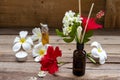 Natural Herbal Oils Extract All Flowers Smells Scents Aroma