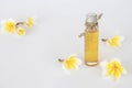 Natural herbal oils extract from frangipani flowers smeels aroma therapy Royalty Free Stock Photo