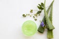 Natural herbal soothing gel aloe vera health care for skin face Royalty Free Stock Photo