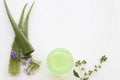 Natural herbal soothing gel aloe vera health care for skin face Royalty Free Stock Photo