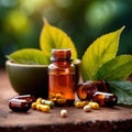 Natural herbal supplements and organic herb remedy capsule pills Royalty Free Stock Photo