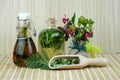Natural herbal tinctures medicine Royalty Free Stock Photo