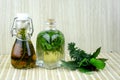 Natural herbal tinctures medicine Royalty Free Stock Photo