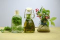 Natural herbal tinctures medicine Royalty Free Stock Photo