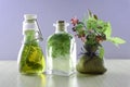Natural herbal tinctures medicine Royalty Free Stock Photo