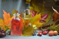 Natural herbal tinctures medicine Royalty Free Stock Photo