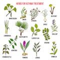 Natural herbs collection for asthma treatment