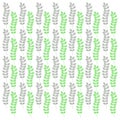 Natural Herbs Hand Painted Vector Pattern