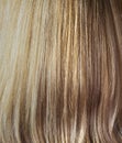 Natural highlight shiny healthy human long hair