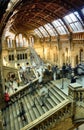 Natural history museum in london