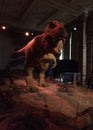 Natural History Museum - Dinosaur