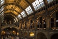 Natural history museum london combination of diffused light from ceiling windows and interior light