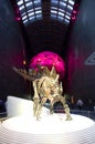 Natural History Museum London, Dinosaur Royalty Free Stock Photo