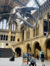 The Natural History Museum in London exhibits a vast range of specimens from various segments of natural history