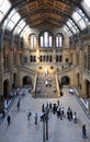 Natural History Museum, London Royalty Free Stock Photo