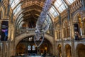 Natural History Museum in London, UK Royalty Free Stock Photo