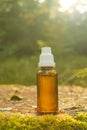 natural homeopathic remedies. Alternative medicine.Herbal tincture bottle on a stump in the rays of the sun in the