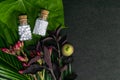 Natural Homeopathy Concept Ã¢â¬â Healing homeopathic medicine bottles of pills, flower buds and wild fruit with green leaves on dark Royalty Free Stock Photo