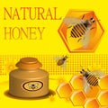 Natural honey Royalty Free Stock Photo