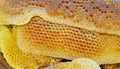 Natural honey apis melifera rodopica macro picture
