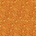 Natural honey comb hexagonal texture, macro photo Royalty Free Stock Photo