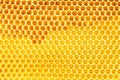 Natural honey in honeycomb background Royalty Free Stock Photo