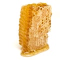 Natural Honeycomb