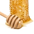 Natural Honeycomb