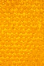 Natural honeycomb texture