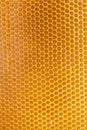 Natural Honeycomb texture